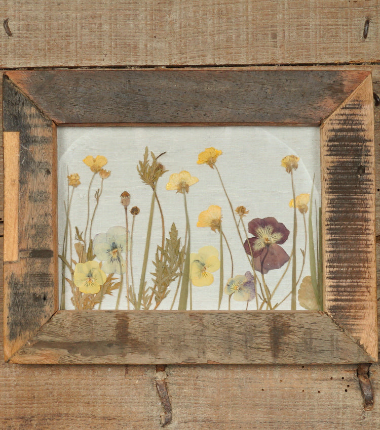 Cornice in legno e vetro con fiori essiccati, pressati e cotone