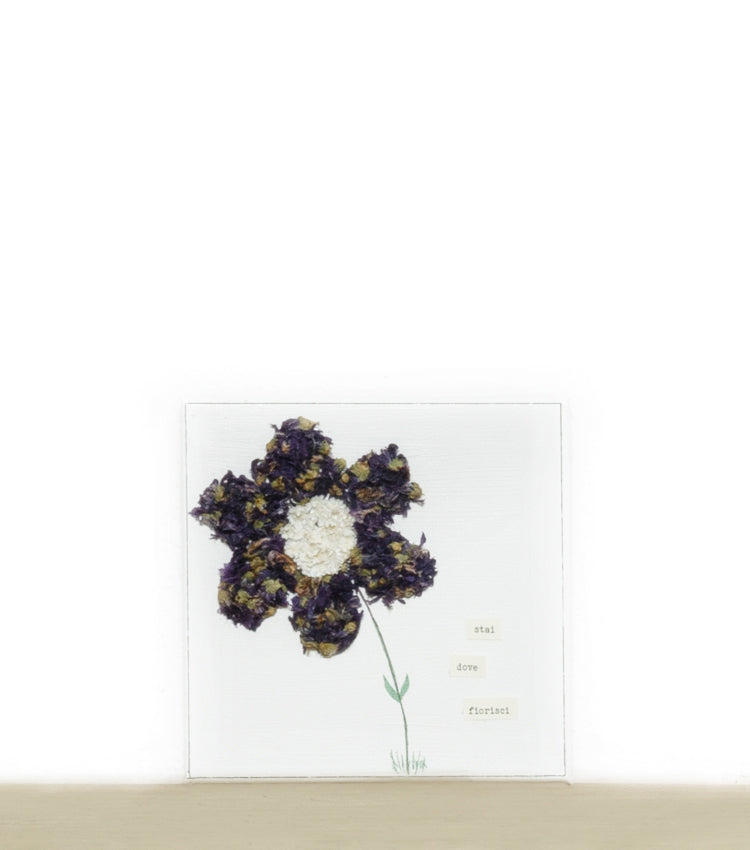 Quadro in tela "stai dove fiorisci" con un Fiore di fiori essiccati e Disegni