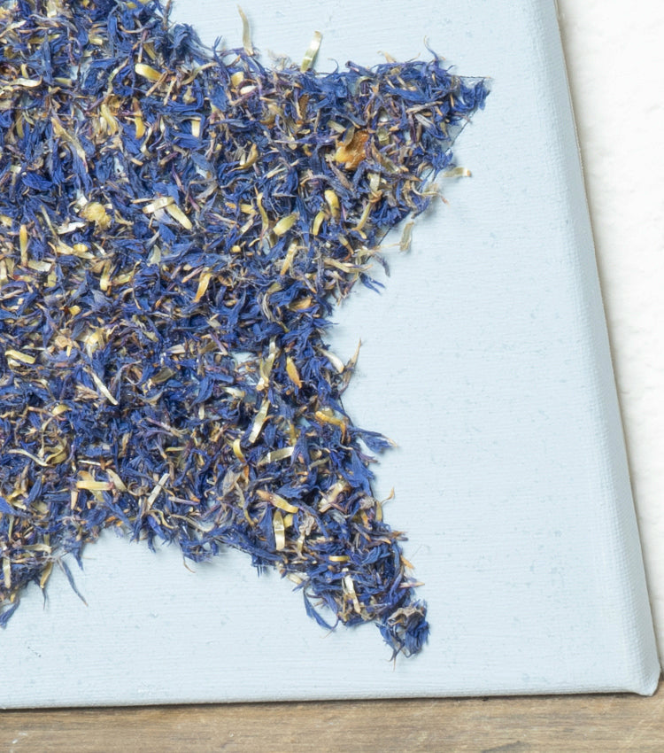 Quadro in tela "risplendi sempre" con una Stella di fiori essiccati