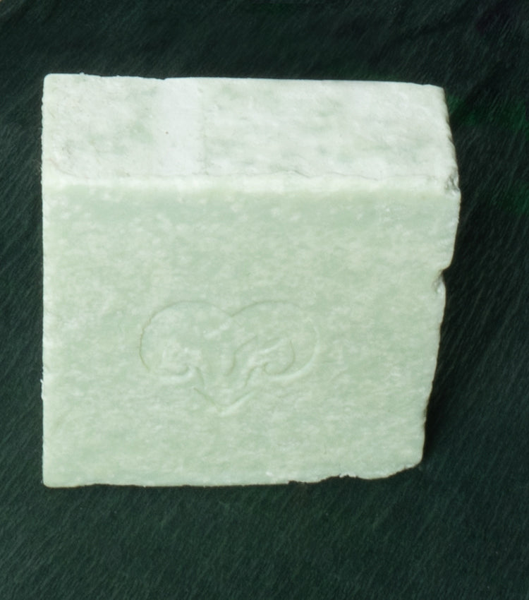 Sapone per Mani/Corpo alla fragranza "Aloe Vera"