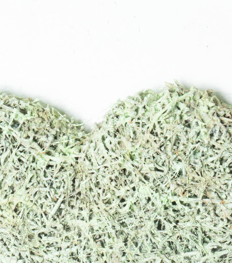 Cuore in raspi d’Uva essiccati e spago