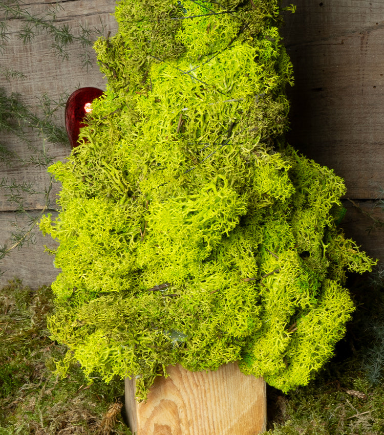 "Alberello Natalizio" con un Cuore e Corona in metallo, Muschio stabilizzato e legno