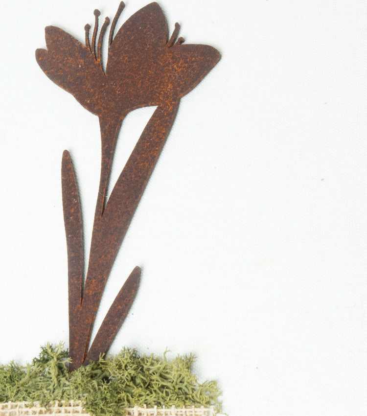 Album in cotone con Fiori in corten, Muschio stabilizzato, juta e spago
