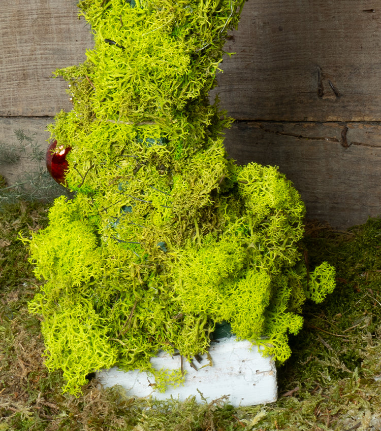 "Alberello Natalizio Irregolare" con un Cuore e Corona in metallo, Muschio stabilizzato e legno