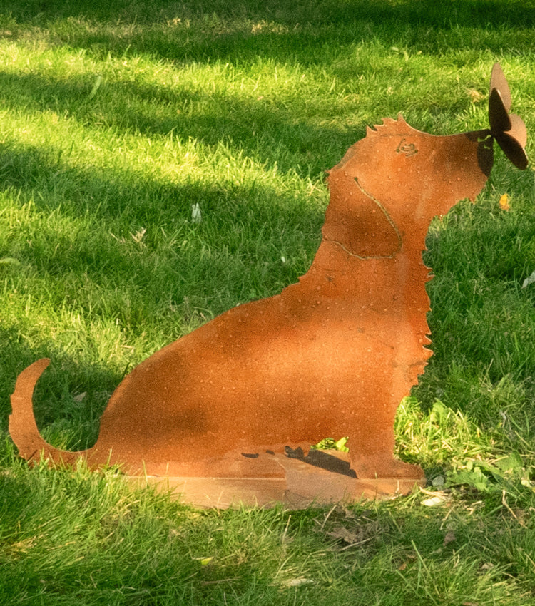 Cagnolino con una Farfalla sul Muso in corten