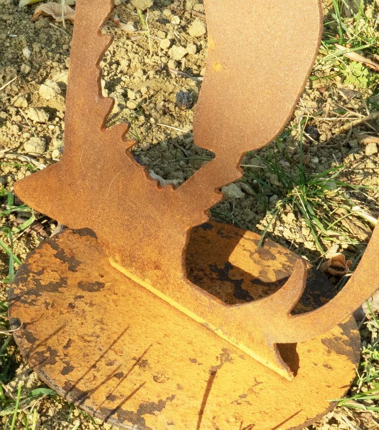 Pinguino Cucciolo in corten
