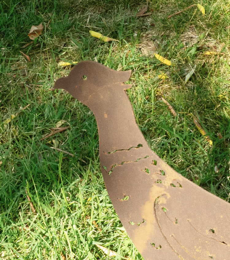 Fagiano in corten