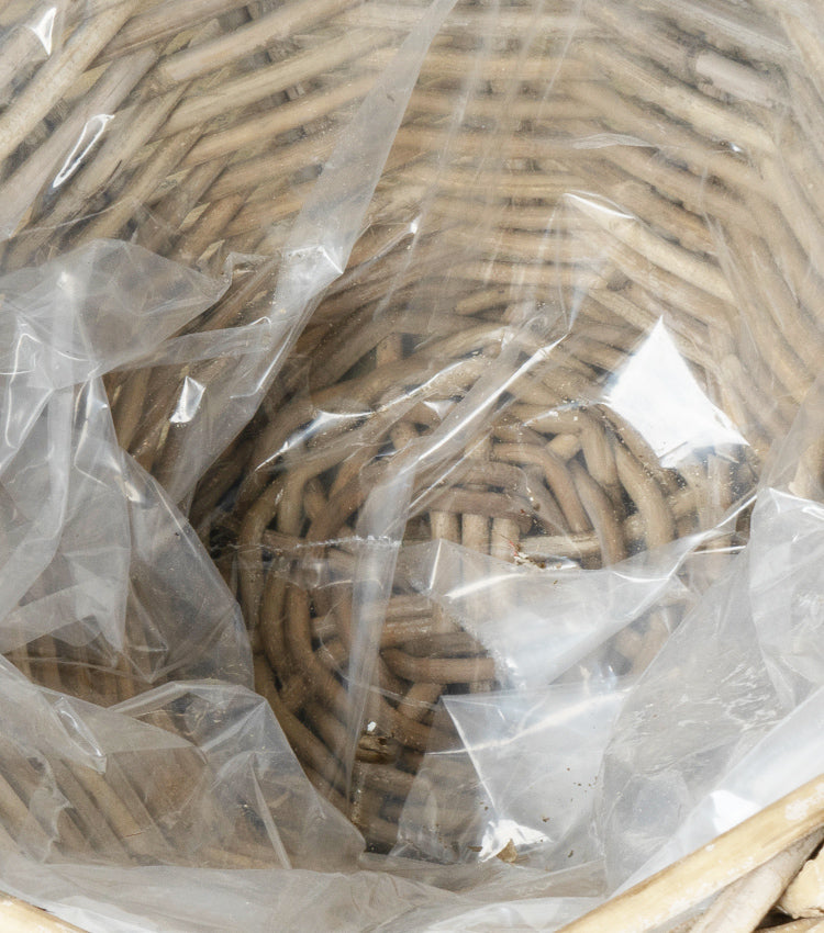 Cesto con canne di Bambù piccolo