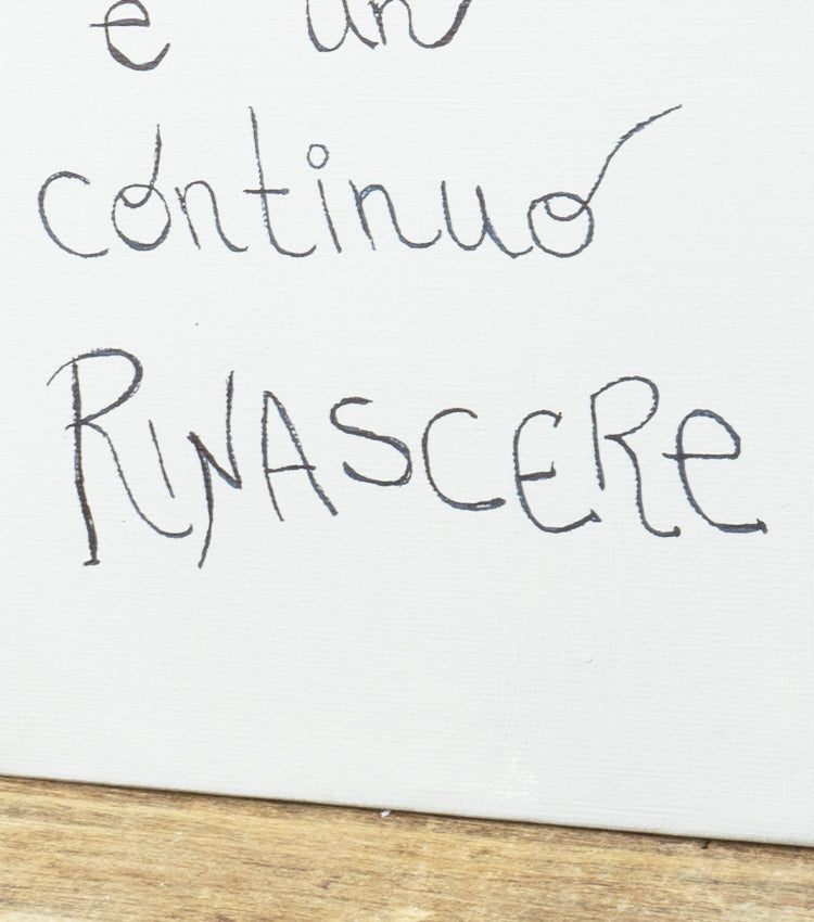 Quadro in tela "Soprendersi è un continuo Rinascere"