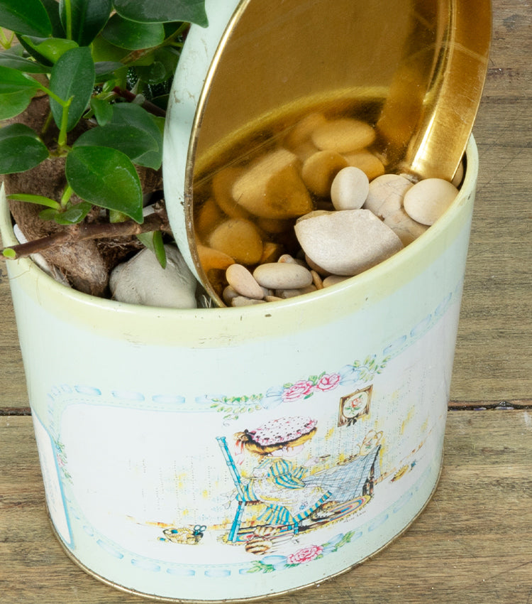 "Il Boschetto nella Scatolina" in latta