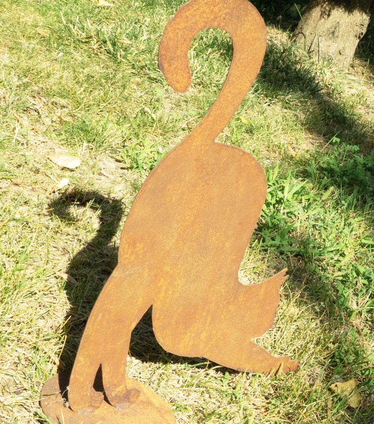 Gatto che si sta stirando in corten
