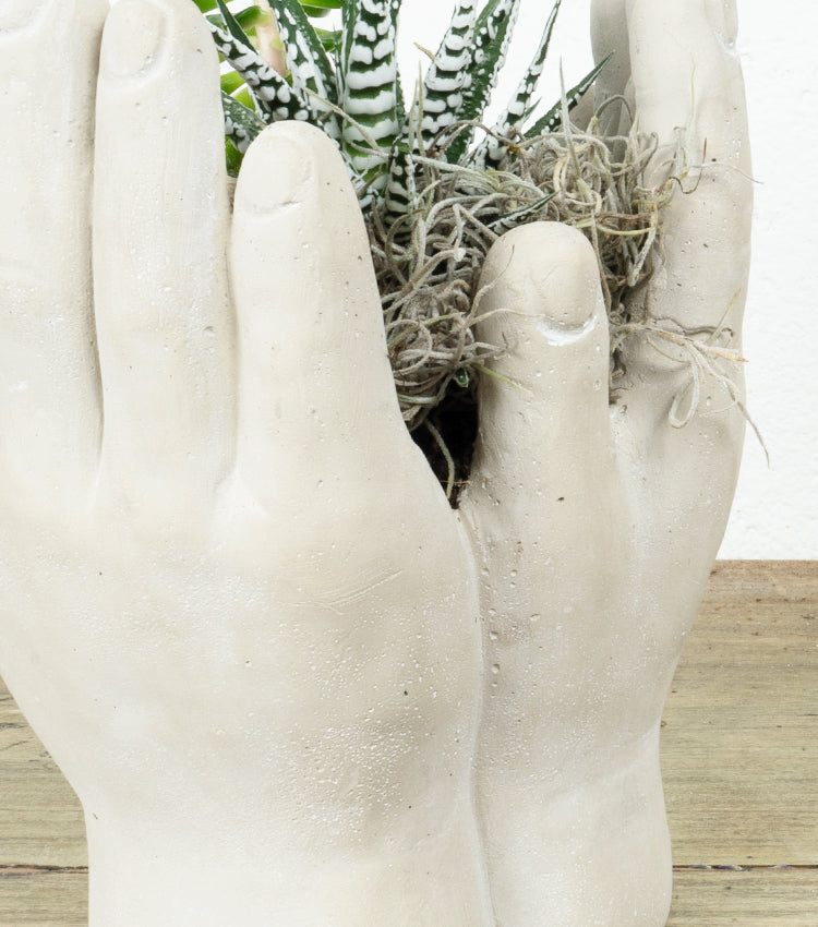 "Il Boschetto tra le Mani" in cemento