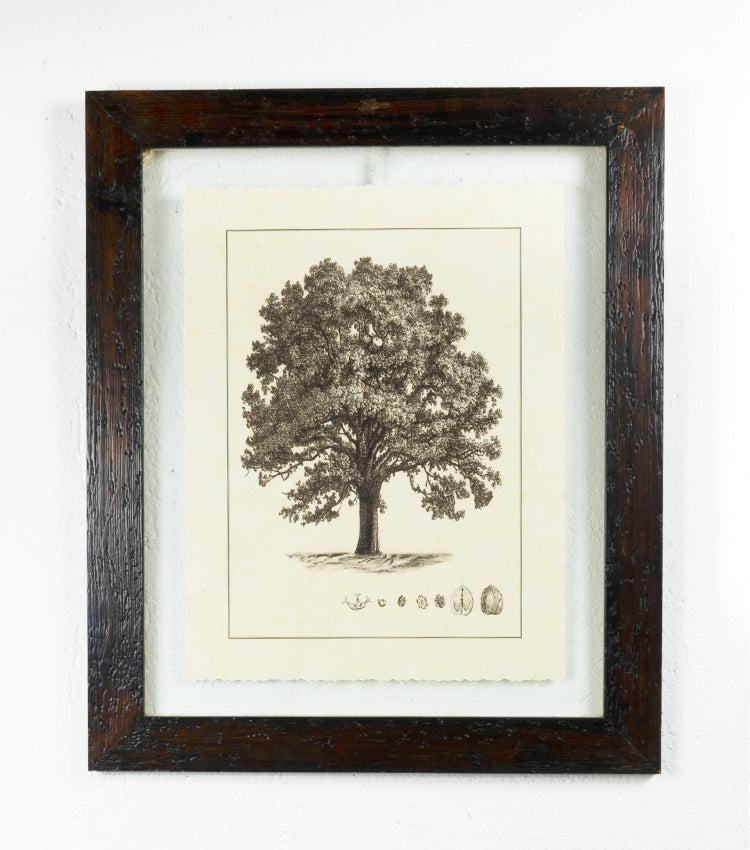 Quadro-Cornice in legno e vetro