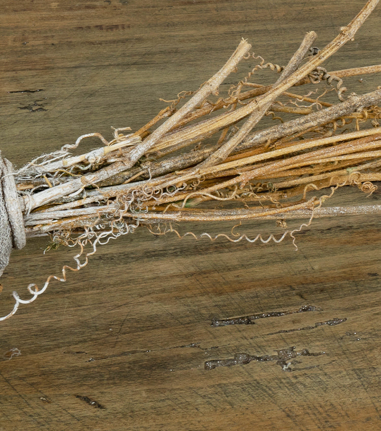 Carota in legno e juta