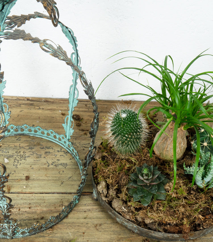 "Il Boschetto nella Corona" in metallo