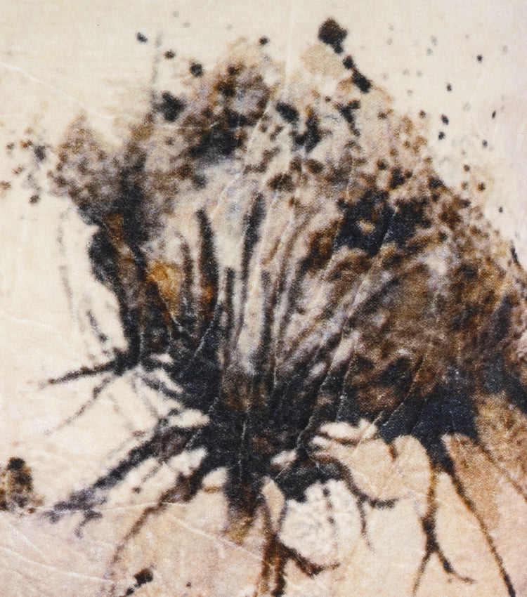 Cuscino con soffioni in velluto