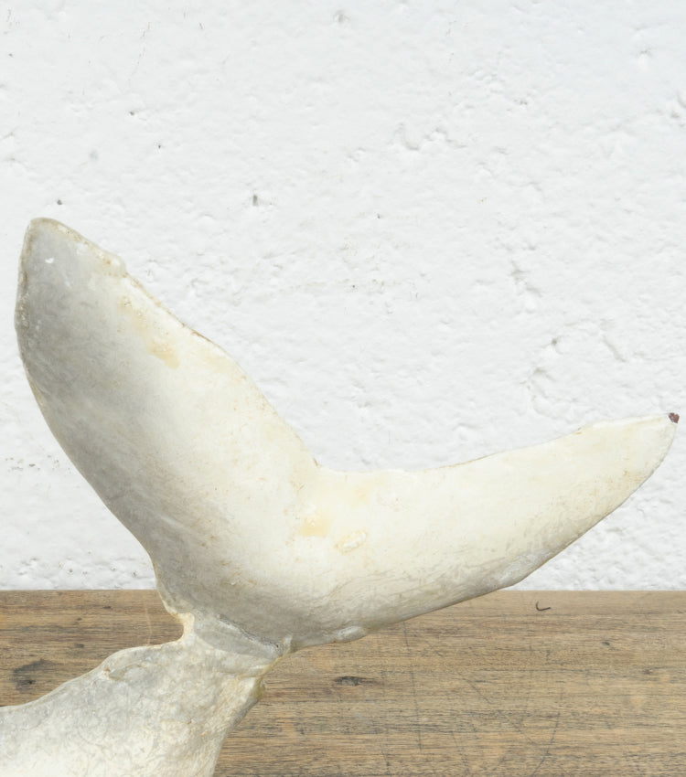 Salvadanaio a forma di tricheco in metallo