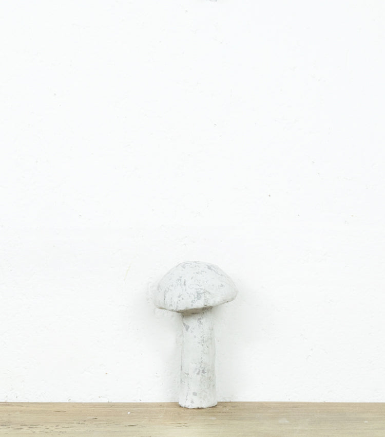 Fungo in cemento