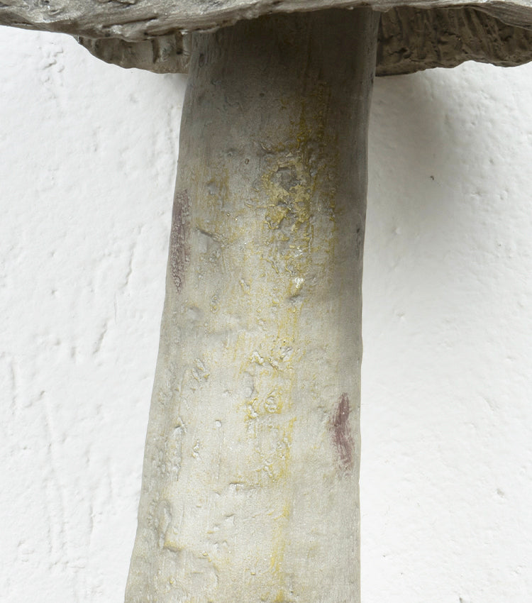 Fungo in resina grande