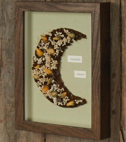 Cornice in legno "risplendi sempre" con una Mezzaluna di fiori essiccati