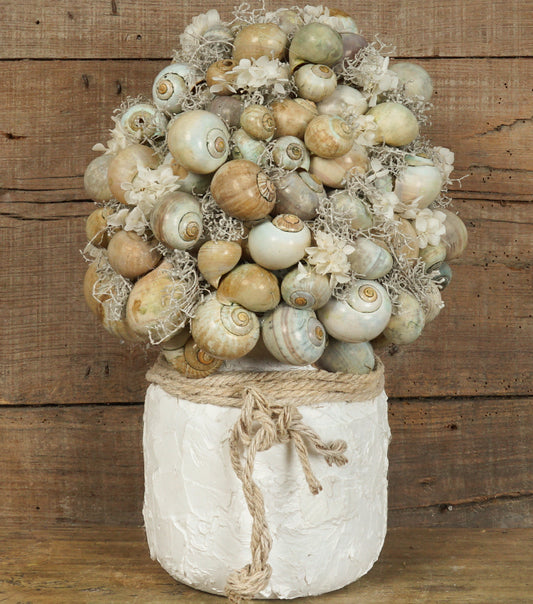 Scultura Marina in gesso con Conchiglie, fiori e piante stabilizzati e corda
