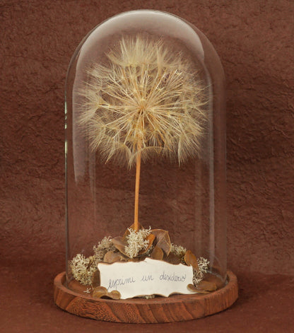 "Il Grande Soffione nella Boule" in vetro e legno con una scritta, carta e piante essiccate e stabilizzate