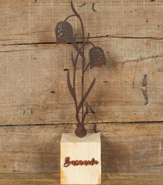Bucaneve in corten con Nome e Base in legno