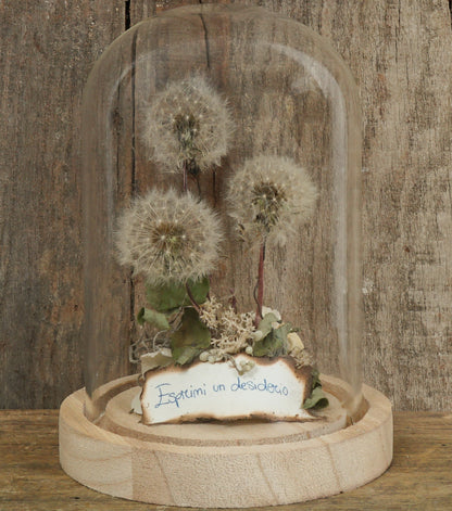"I 3 Piccoli Soffioni nella Boule" in vetro e legno con una scritta, carta e piante essiccate e stabilizzate