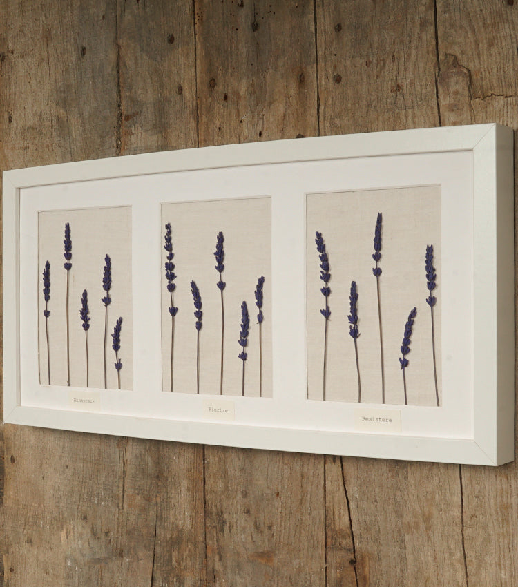 Cornice in legno "Rinascere - Fiorire - Resistere" con Lavanda essiccata
