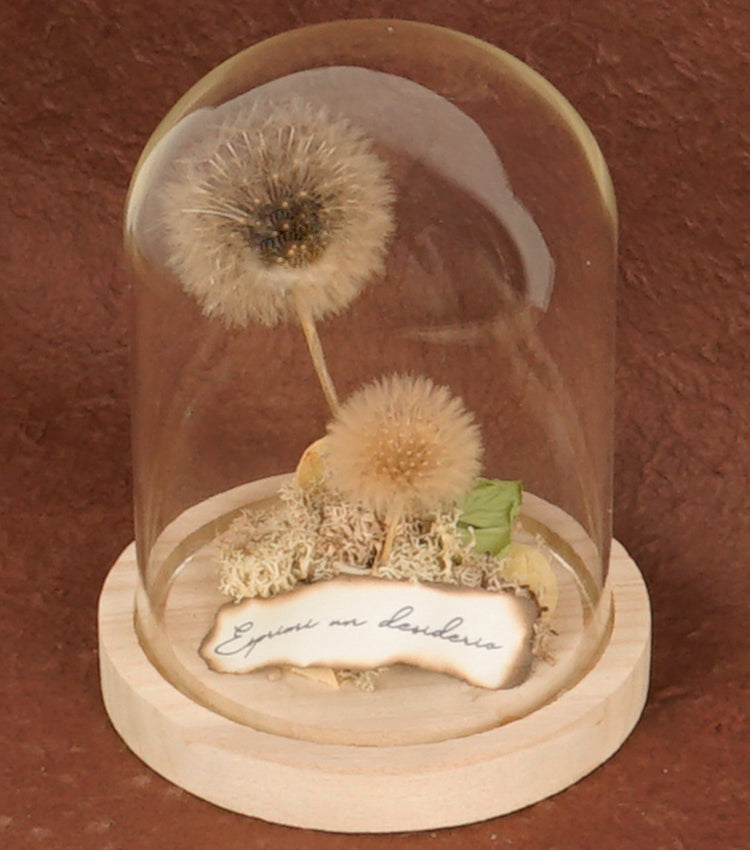 "I Piccoli Soffioni nella Boule" in vetro e legno con una scritta, carta e piante essiccate e stabilizzate