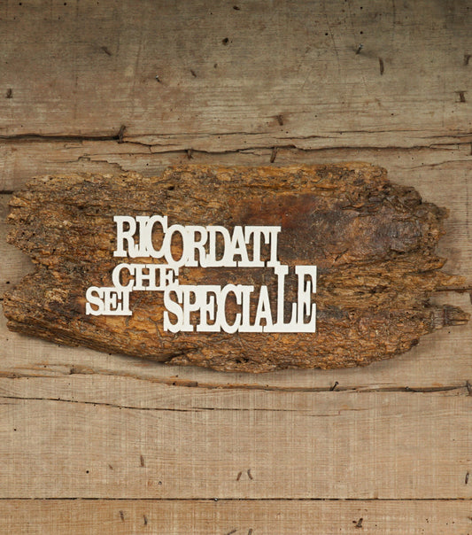 Tavola in legno "RICORDATI CHE SEI SPECIALE" con Scritte