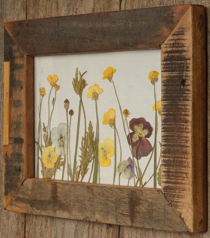 Cornice orizzontale in legno e vetro con fiori essiccati e pressati