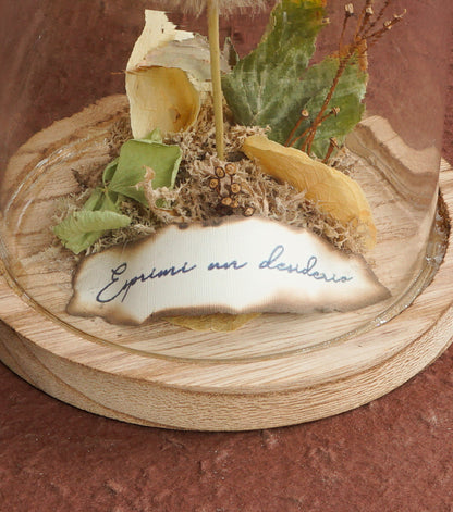 "Il Piccolo Soffione nella Boule" in vetro e legno con una scritta, carta e piante essiccate e stabilizzate