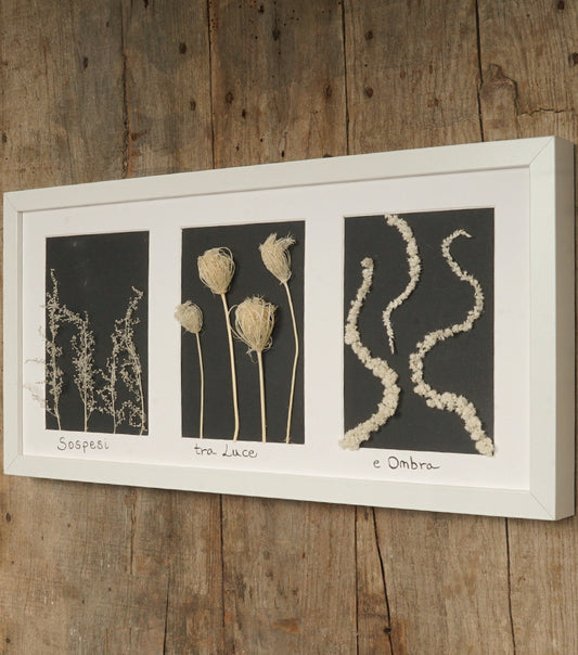 Cornice in legno "Sospesi tra Luce e Ombra" con Fiori e Piante essiccati
