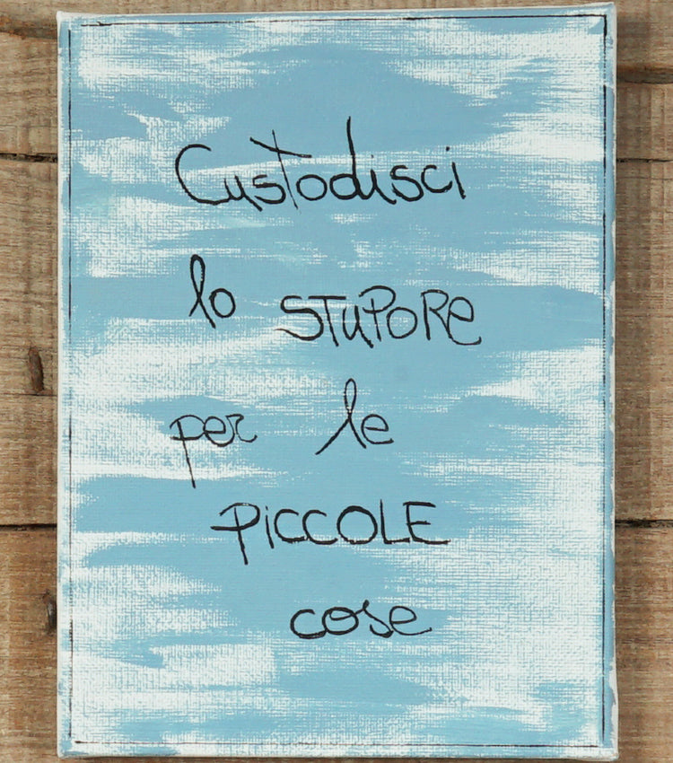 Quadretto in tela "Custodisci lo STUPORE per le PICCOLE cose"