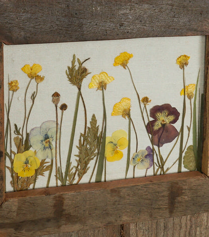 Cornice orizzontale in legno e vetro con fiori essiccati e pressati