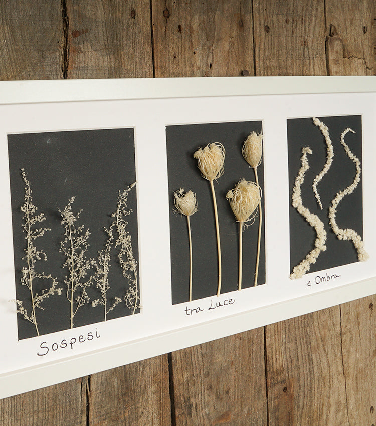 Cornice in legno "Sospesi tra Luce e Ombra" con Fiori e Piante essiccati