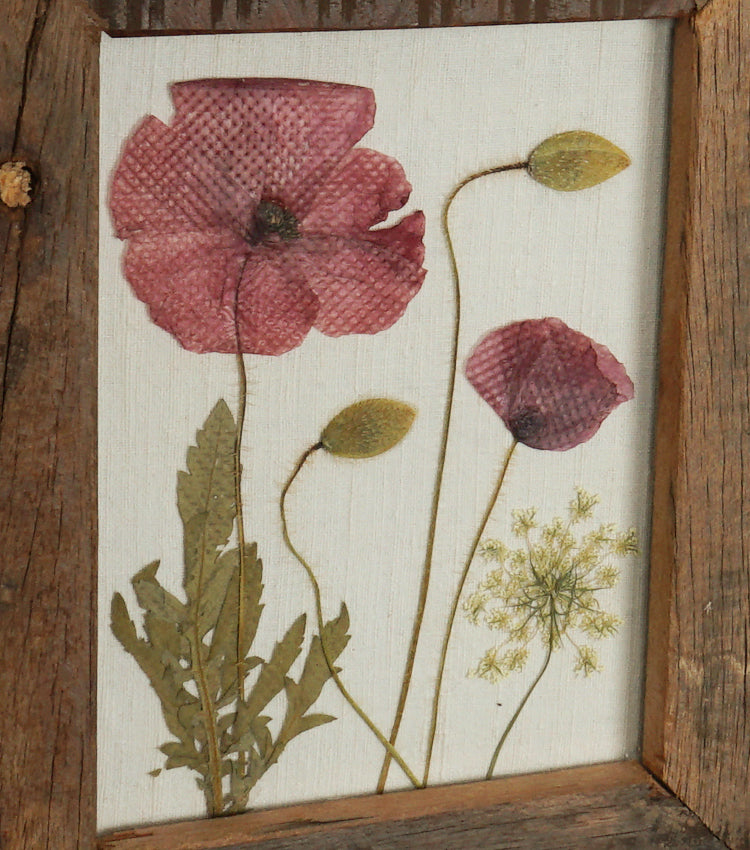 Cornice verticale in legno e vetro con fiori essiccati e pressati