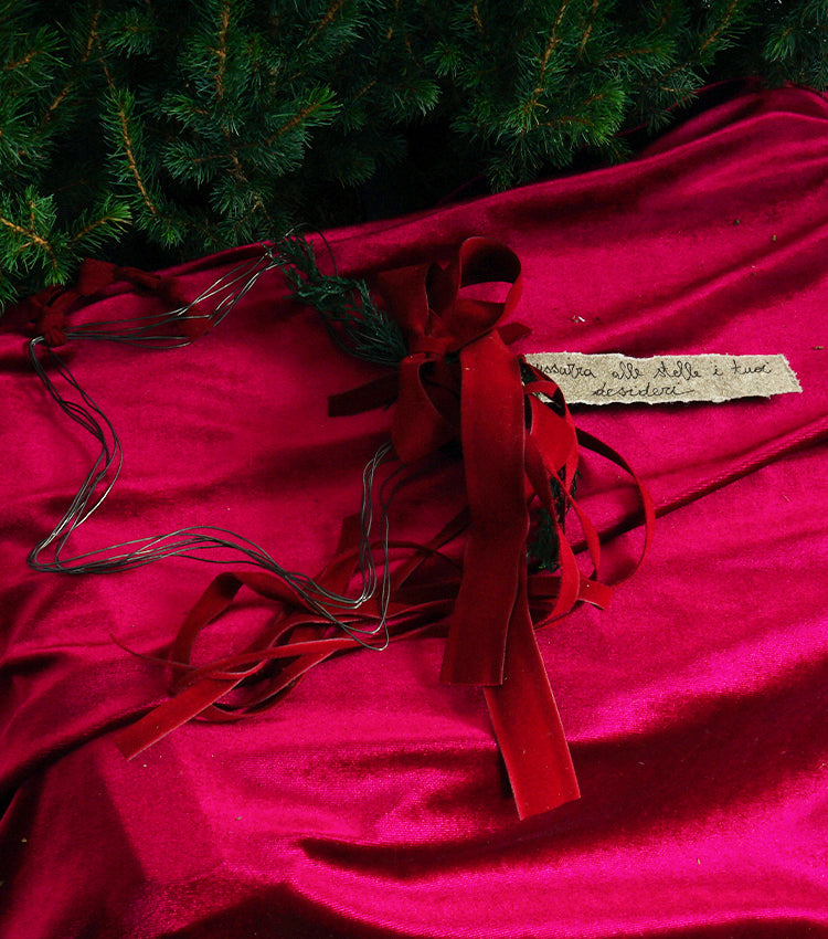 Stellina Natalizia in fil di ferro con Piante e un Aforisma