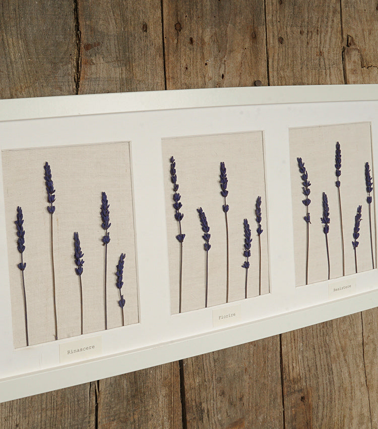 Cornice in legno "Rinascere - Fiorire - Resistere" con Lavanda essiccata