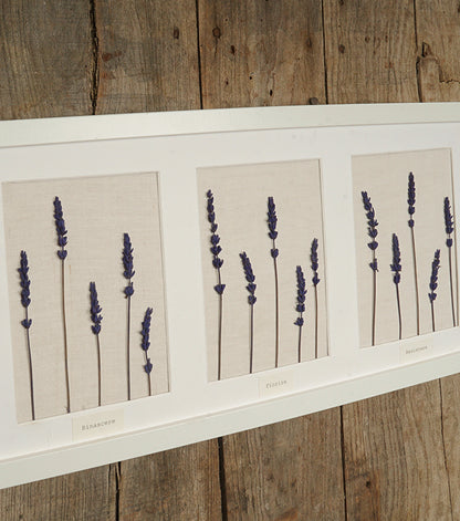 Cornice in legno "Rinascere - Fiorire - Resistere" con Lavanda essiccata