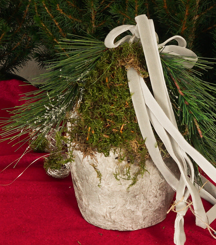 Campanaccio Natalizio in legno con un Angioletto, muschio e rami di Abete