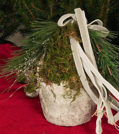 Campanaccio Natalizio in legno con un Angioletto, muschio e rami di Abete