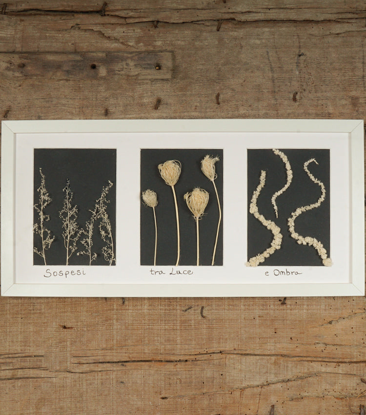 Cornice in legno "Sospesi ~ tra Luce ~ e Ombra" con fiori essiccati