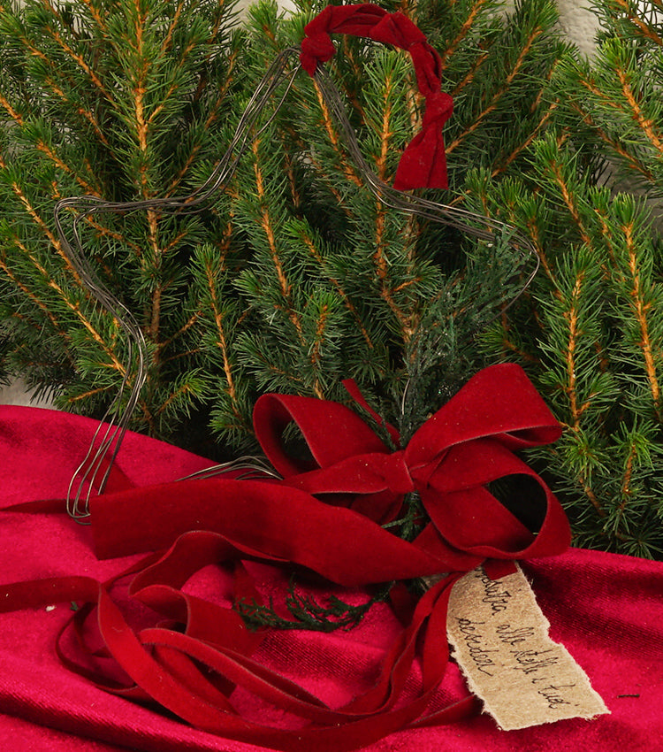 Stellina Natalizia in fil di ferro con Piante e un Aforisma