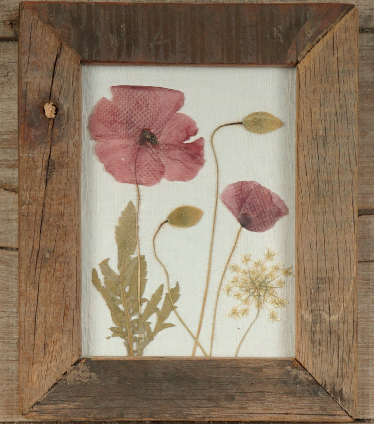 Cornice verticale in legno e vetro con fiori essiccati, pressati e cotone