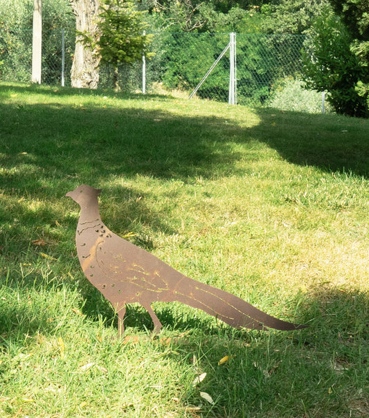 Fagiano in corten