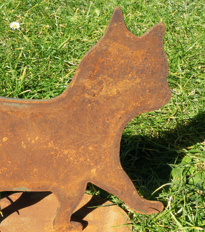 Gattino che cammina in corten