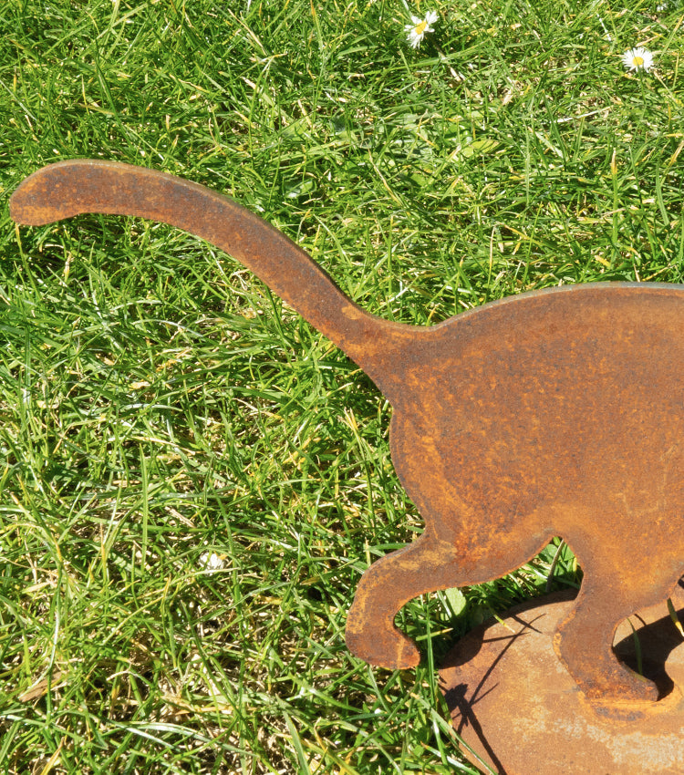 Gattino che cammina in corten